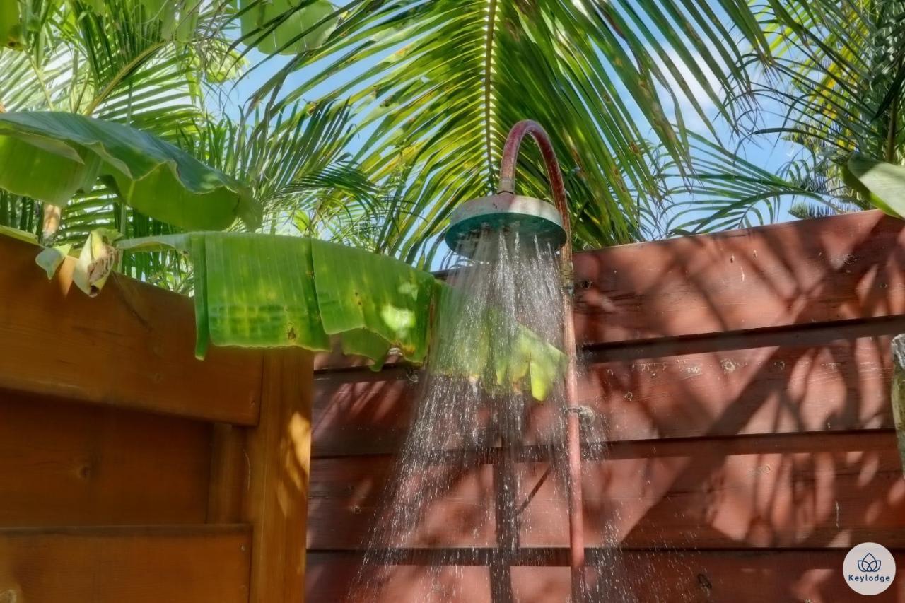 Villa Case Noe - Piscine - La Saline Le Bains Ngoại thất bức ảnh